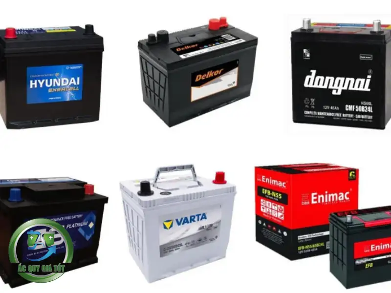 Phân loại các dòng phổ biến hiện nay