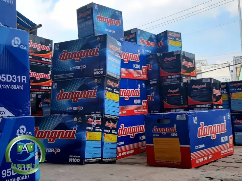Ắc quy Đồng Nai (Pinaco)