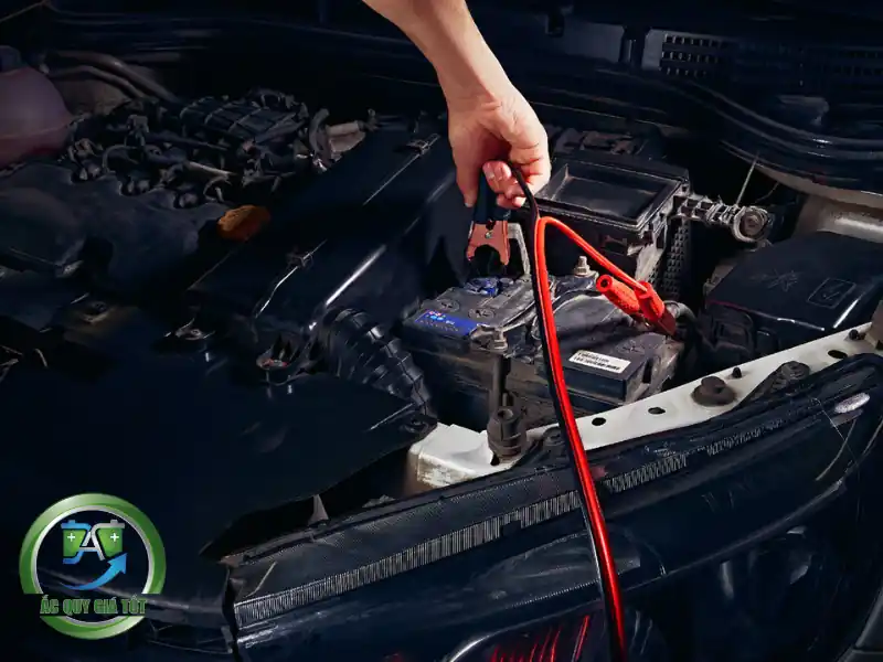 Hướng dẫn lắp đặt và bảo quản để tối ưu tuổi thọ bình