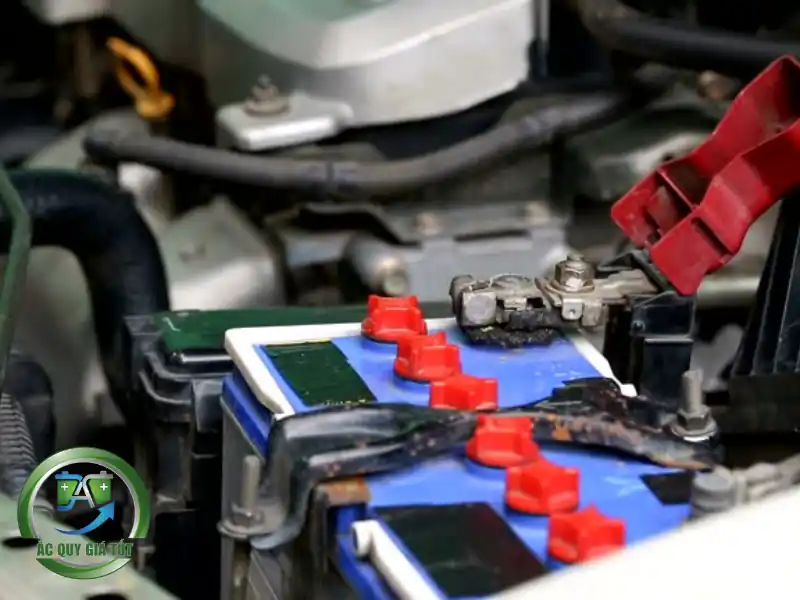 Hướng dẫn sử dụng và bảo quản để kéo dài tuổi thọ bình GS