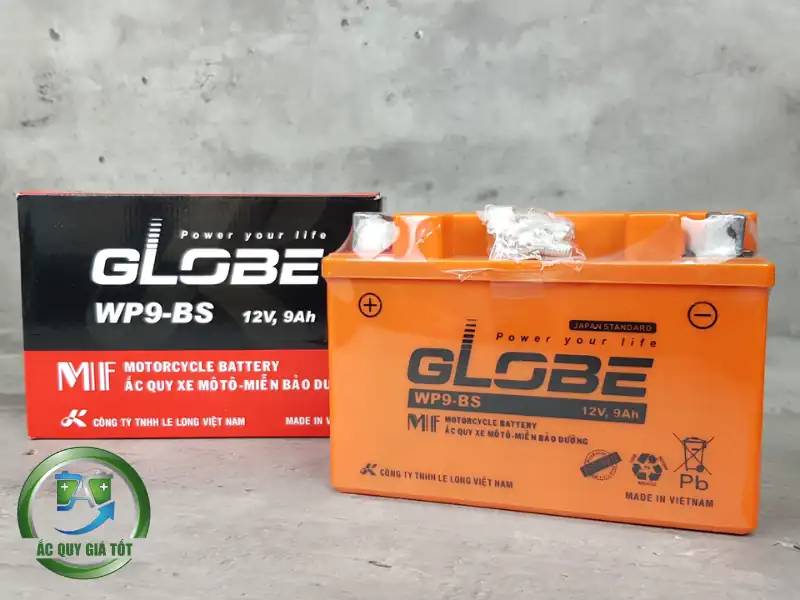 Đánh giá chi tiết bình Globe có tốt không?