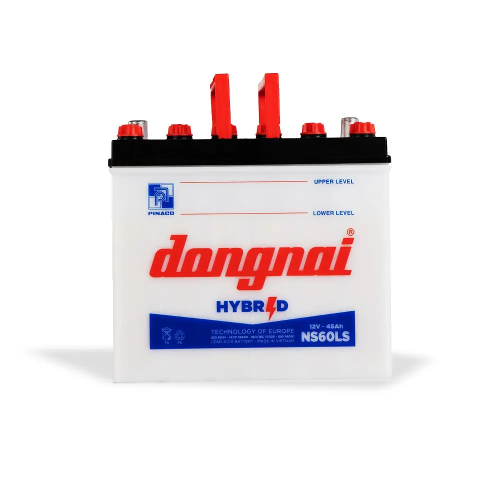 Ắc quy Đồng Nai NS60LS - 12V - 45Ah