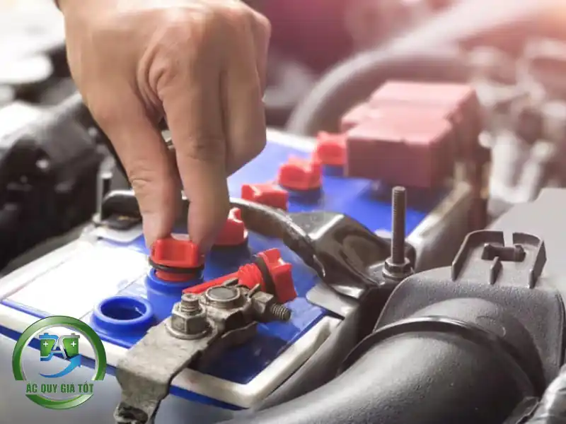 Hướng dẫn sử dụng và bảo quản để kéo dài tuổi thọ bình nước