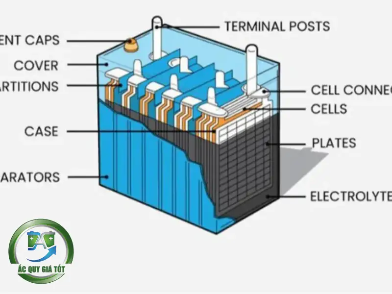 Cấu tạo chi tiết
