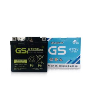 Ắc quy GS khô GTZ6V 5ah